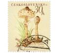 Почтовая марка 30 геллеров 1958 года Чехословакия «Грибы — Гриб-зонтик (Lepiota procera)» (Артикул: P2-1194) — Фото №1