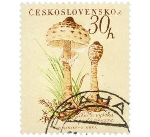 Почтовая марка 30 геллеров 1958 года Чехословакия «Грибы — Гриб-зонтик (Lepiota procera)» — Фото №1