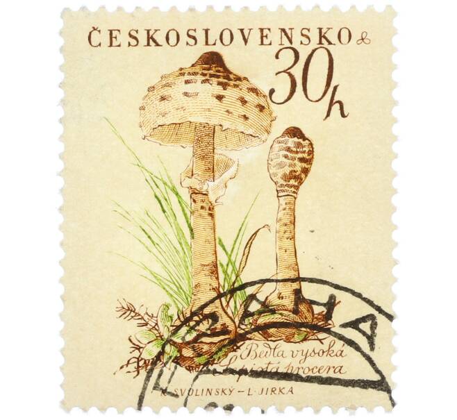 Почтовая марка 30 геллеров 1958 года Чехословакия «Грибы — Гриб-зонтик (Lepiota procera)» (Артикул: P2-1194) — Фото №1
