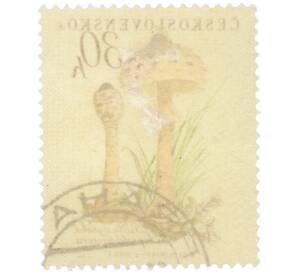 Почтовая марка 30 геллеров 1958 года Чехословакия «Грибы — Гриб-зонтик (Lepiota procera)» — Фото №2