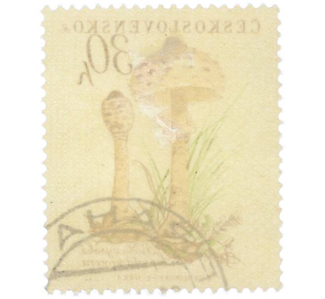 Почтовая марка 30 геллеров 1958 года Чехословакия «Грибы — Гриб-зонтик (Lepiota procera)» (Артикул: P2-1194) — Фото №2