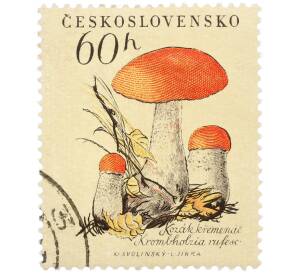 Почтовая марка 60 геллеров 1958 года Чехословакия «Грибы — Подосиновик с оранжевой шляпкой (Boletus versipellis)» — Фото №1