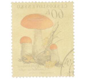 Почтовая марка 60 геллеров 1958 года Чехословакия «Грибы — Подосиновик с оранжевой шляпкой (Boletus versipellis)» — Фото №2