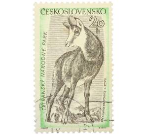 Почтовая марка 20 геллеров 1957 года Чехословакия «Флора и фауна Татранского национального парка — Серна» — Фото №1