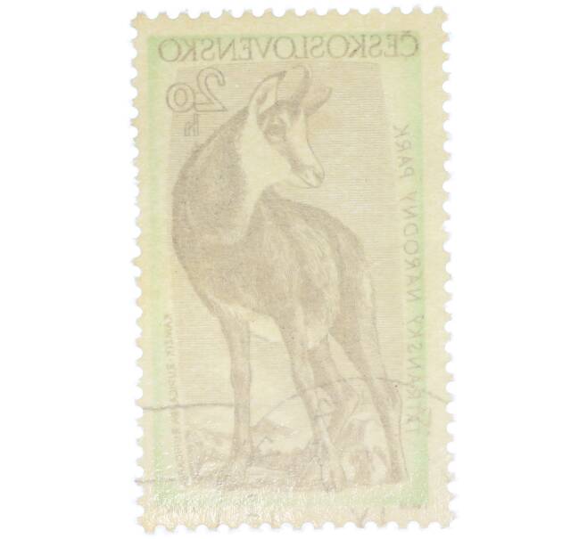 Почтовая марка 20 геллеров 1957 года Чехословакия «Флора и фауна Татранского национального парка — Серна» (Артикул: P2-1205) — Фото №2