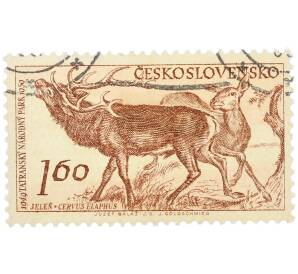 Почтовая марка 1.6 кроны 1957 года Чехословакия «Флора и фауна Татранского национального парка — Олень» — Фото №1