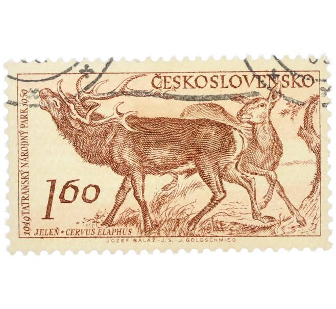 Почтовая марка 1.6 кроны 1957 года Чехословакия «Флора и фауна Татранского национального парка — Олень» (Артикул: P2-1206) — Фото №1