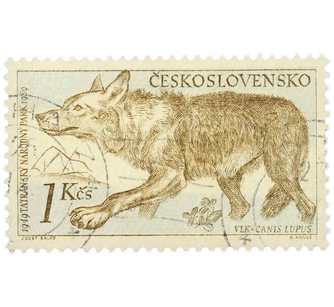 Почтовая марка 1 крона 1957 года Чехословакия «Флора и фауна Татранского национального парка — Волк» (Артикул: P2-1207) — Фото №1