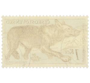 Почтовая марка 1 крона 1957 года Чехословакия «Флора и фауна Татранского национального парка — Волк» — Фото №2