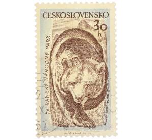 Почтовая марка 30 геллеров 1957 года Чехословакия «Флора и фауна Татранского национального парка — Бурый медведь» — Фото №1
