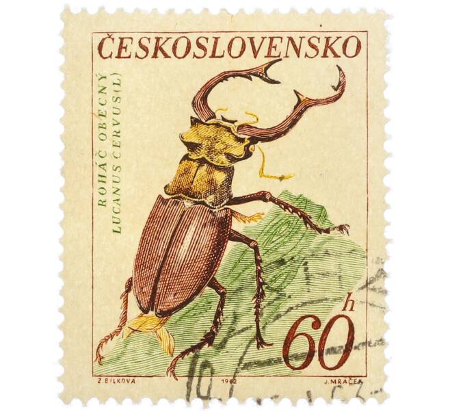Почтовая марка 60 геллеров 1962 года Чехословакия «Жуки — Жук-олень (Lucanus cervus)» (Артикул: P2-1220) — Фото №1