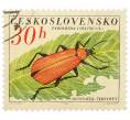 Почтовая марка 30 геллеров 1962 года Чехословакия «Жуки — Огнецветка багряная (Pyrochroa coccinea)» (Артикул: P2-1221) — Фото №1