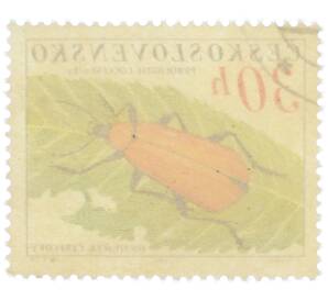 Почтовая марка 30 геллеров 1962 года Чехословакия «Жуки — Огнецветка багряная (Pyrochroa coccinea)» — Фото №2