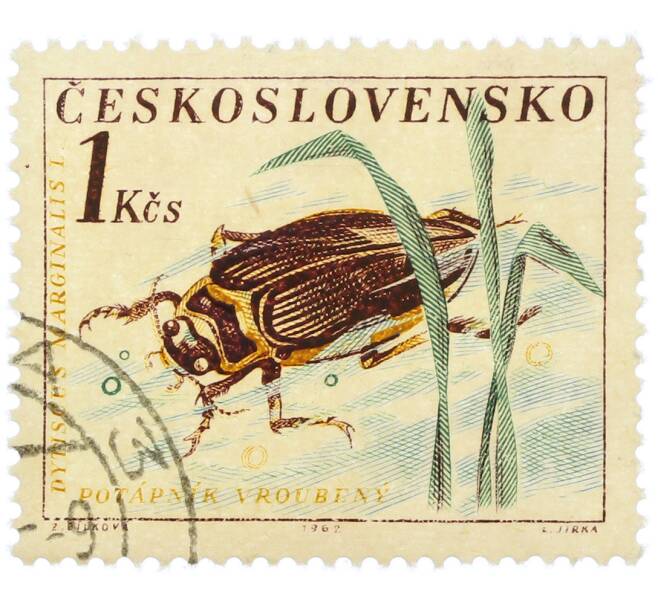 Почтовая марка 1 крона 1962 года Чехословакия «Жуки — Плавунец окаймленный (Dytiscus marginalis)» (Артикул: P2-1222) — Фото №1
