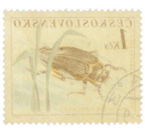 Почтовая марка 1 крона 1962 года Чехословакия «Жуки — Плавунец окаймленный (Dytiscus marginalis)» — Фото №2