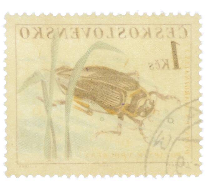 Почтовая марка 1 крона 1962 года Чехословакия «Жуки — Плавунец окаймленный (Dytiscus marginalis)» (Артикул: P2-1222) — Фото №2
