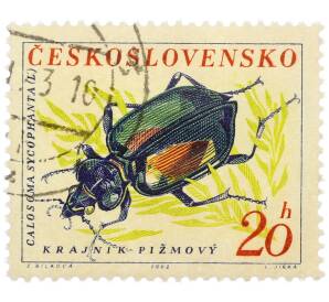 Почтовая марка 20 геллеров 1962 года Чехословакия «Жуки — Красотел пахучий (Calosoma sycophanta)» — Фото №1