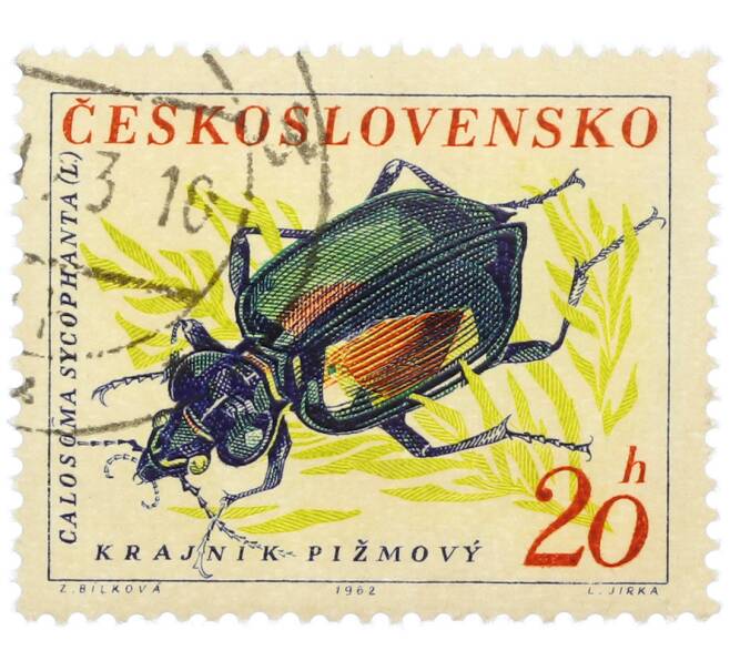 Почтовая марка 20 геллеров 1962 года Чехословакия «Жуки — Красотел пахучий (Calosoma sycophanta)» (Артикул: P2-1223) — Фото №1