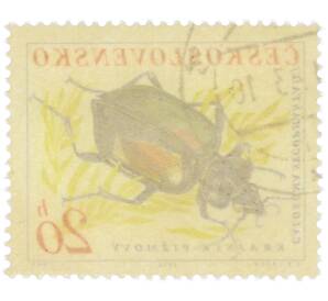 Почтовая марка 20 геллеров 1962 года Чехословакия «Жуки — Красотел пахучий (Calosoma sycophanta)» — Фото №2