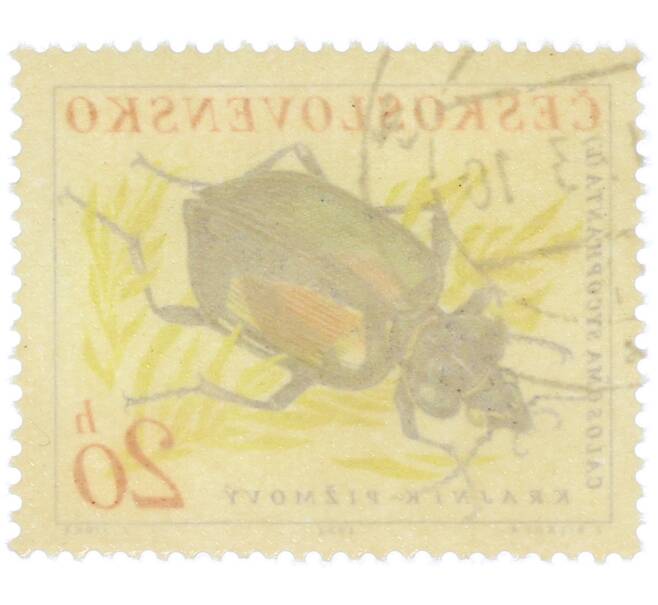 Почтовая марка 20 геллеров 1962 года Чехословакия «Жуки — Красотел пахучий (Calosoma sycophanta)» (Артикул: P2-1223) — Фото №2