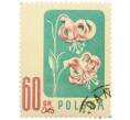Почтовая марка 60 грошей 1957 года Польша «Цветы — Лилия кудреватая» (Артикул: P2-1255) — Фото №1