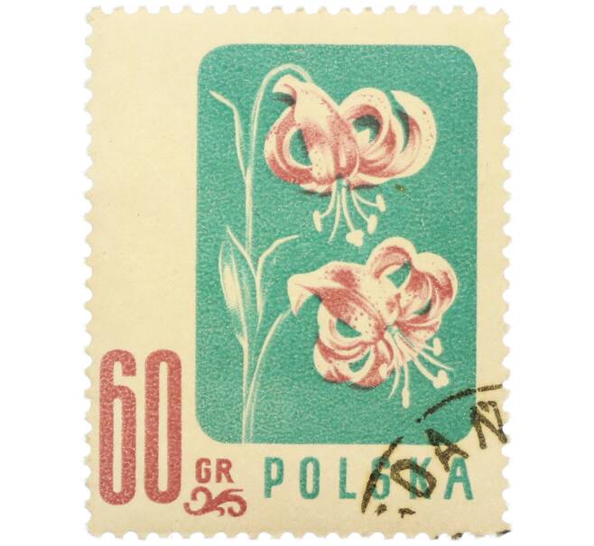 Почтовая марка 60 грошей 1957 года Польша «Цветы — Лилия кудреватая» (Артикул: P2-1255) — Фото №1