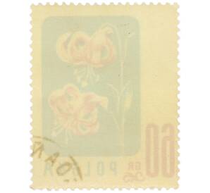 Почтовая марка 60 грошей 1957 года Польша «Цветы — Лилия кудреватая» — Фото №2