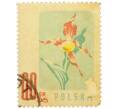 Почтовая марка 60 грошей 1957 года Польша «Цветы — Башмачок настоящий» (Артикул: P2-1256) — Фото №1