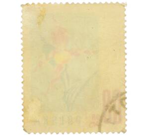 Почтовая марка 60 грошей 1957 года Польша «Цветы — Башмачок настоящий» — Фото №2