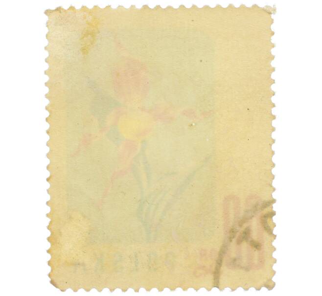 Почтовая марка 60 грошей 1957 года Польша «Цветы — Башмачок настоящий» (Артикул: P2-1256) — Фото №2