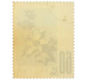 Почтовая марка 60 грошей 1957 года Польша «Цветы — Синеголовник приморский» — Фото №2