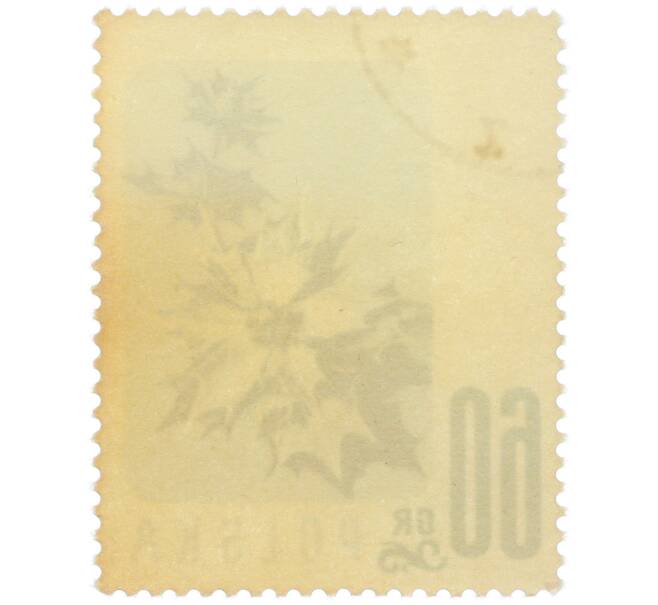 Почтовая марка 60 грошей 1957 года Польша «Цветы — Синеголовник приморский» (Артикул: P2-1257) — Фото №2