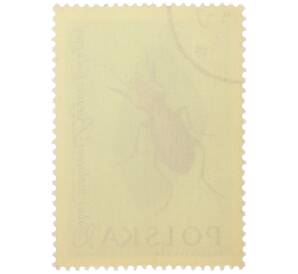 Почтовая марка 30 грошей 1961 года Польша «Жуки — Фиолетовая жужелица» — Фото №2