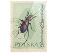 Почтовая марка 30 грошей 1961 года Польша «Жуки — Фиолетовая жужелица» (Артикул: P2-1259) — Фото №1