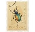 Почтовая марка 20 грошей 1961 года Польша «Жуки — Красотел пахучий» (Артикул: P2-1260) — Фото №1
