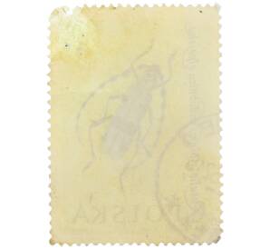 Почтовая марка 40 грошей 1961 года Польша «Жуки — Альпийский усач» — Фото №2