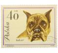 Почтовая марка 40 грошей 1963 года Польша «Собаки — Боксер» (Артикул: P2-1274) — Фото №1