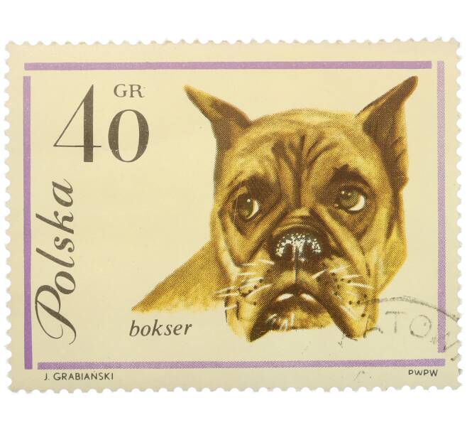 Почтовая марка 40 грошей 1963 года Польша «Собаки — Боксер» (Артикул: P2-1274) — Фото №1