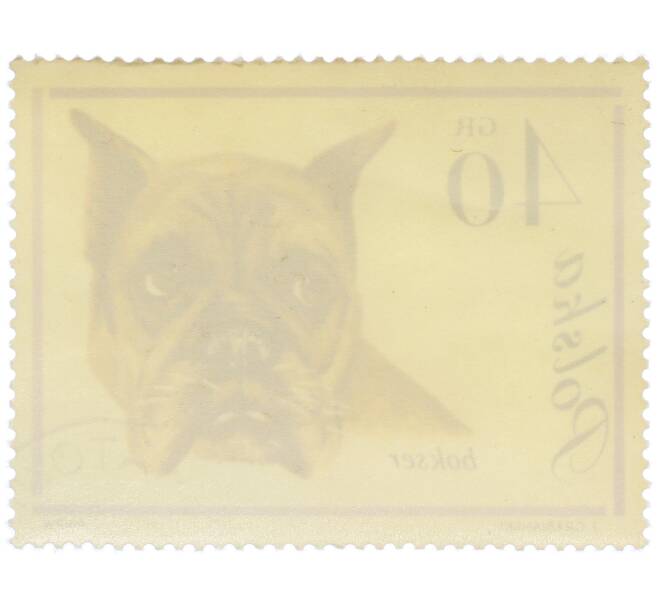 Почтовая марка 40 грошей 1963 года Польша «Собаки — Боксер» (Артикул: P2-1274) — Фото №2