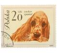 Почтовая марка 20 грошей 1963 года Польша «Собаки — Кокер-спаниель» (Артикул: P2-1275) — Фото №1
