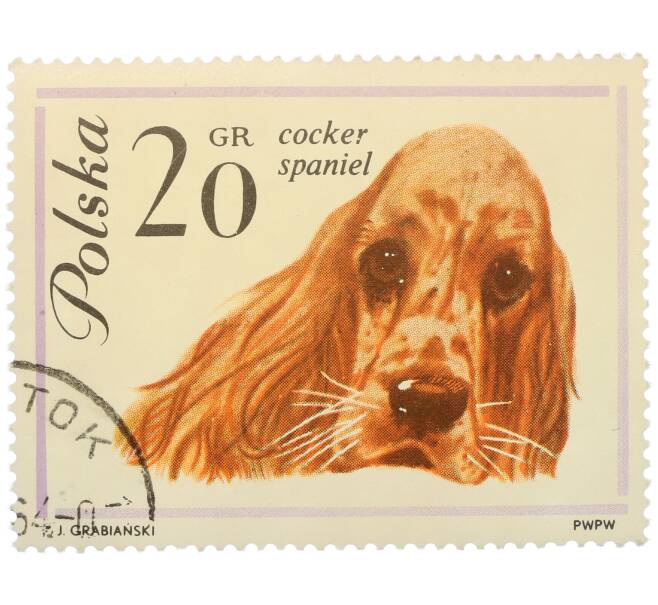 Почтовая марка 20 грошей 1963 года Польша «Собаки — Кокер-спаниель» (Артикул: P2-1275) — Фото №1