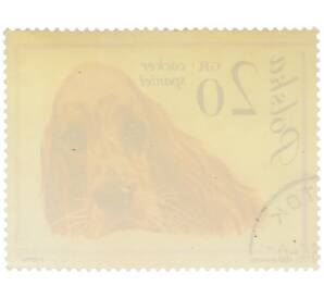 Почтовая марка 20 грошей 1963 года Польша «Собаки — Кокер-спаниель» — Фото №2