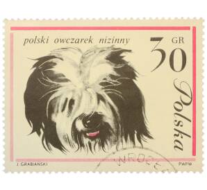 Почтовая марка 30 грошей 1963 года Польша «Собаки — Польская низинная овчарка» — Фото №1