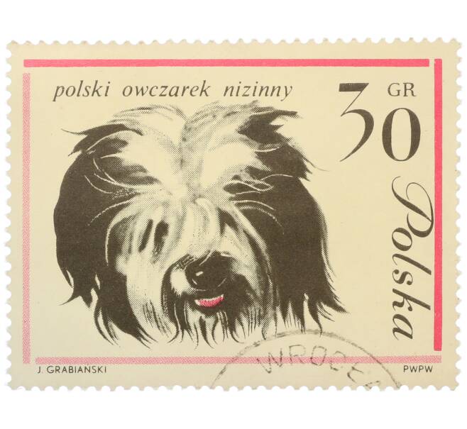 Почтовая марка 30 грошей 1963 года Польша «Собаки — Польская низинная овчарка» (Артикул: P2-1276) — Фото №1