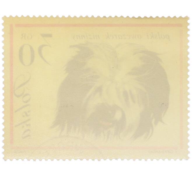 Почтовая марка 30 грошей 1963 года Польша «Собаки — Польская низинная овчарка» (Артикул: P2-1276) — Фото №2