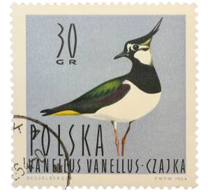 Почтовая марка 30 грошей 1964 года Польша «Водоплавающие птицы — Чибис» — Фото №1