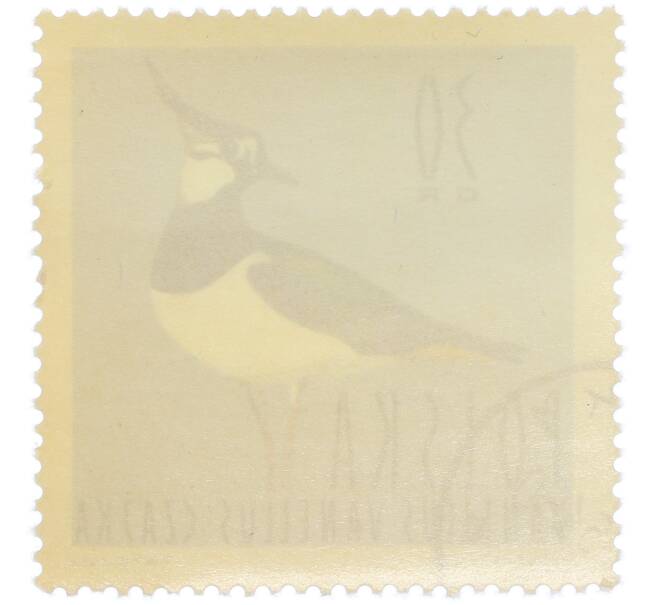 Почтовая марка 30 грошей 1964 года Польша «Водоплавающие птицы — Чибис» (Артикул: P2-1277) — Фото №2