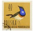 Почтовая марка 40 грошей 1964 года Польша «Водоплавающие птицы — Варакушка» (Артикул: P2-1278) — Фото №1