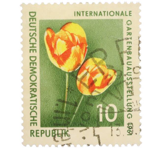 Почтовая марка 10 пфеннигов 1961 года Восточная Германия (ГДР) «Международная садовая выставка в Эрфурте — Тюльпан (Tulipa gesneriana)» (Артикул: P2-1307) — Фото №1