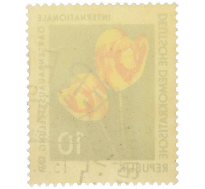 Почтовая марка 10 пфеннигов 1961 года Восточная Германия (ГДР) «Международная садовая выставка в Эрфурте — Тюльпан (Tulipa gesneriana)» (Артикул: P2-1307) — Фото №2